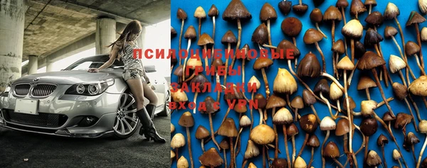 ECSTASY Новодвинск
